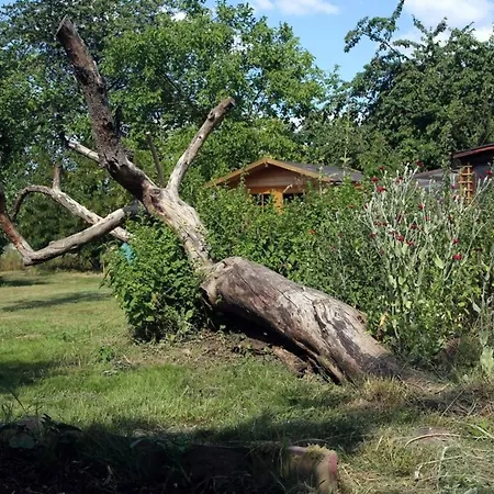 Appartement Gemuetliches In Betschdorf By Interhome