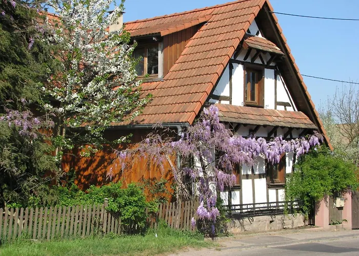 Gemuetliches In Betschdorf By Interhome