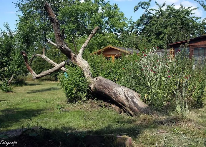 Appartement Gemuetliches In Betschdorf By Interhome